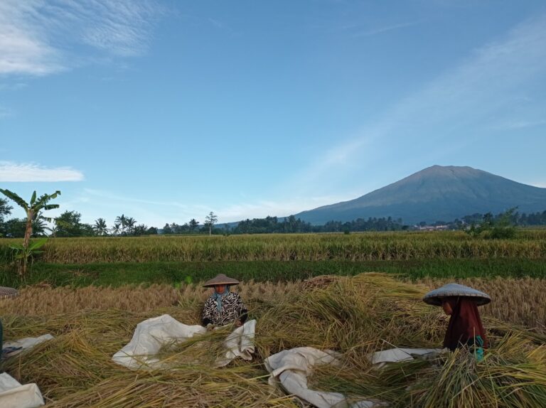 Dominasi Elite, Relasi Kapitalis, dan Peluang Transformasi Sosial-Budaya di Pedesaan Kontemporer *)