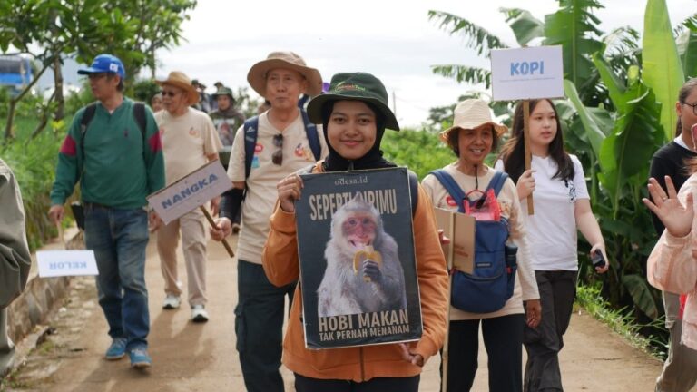 Mengapa Manusia Suka Pohon, namun Tak Suka Menanam?