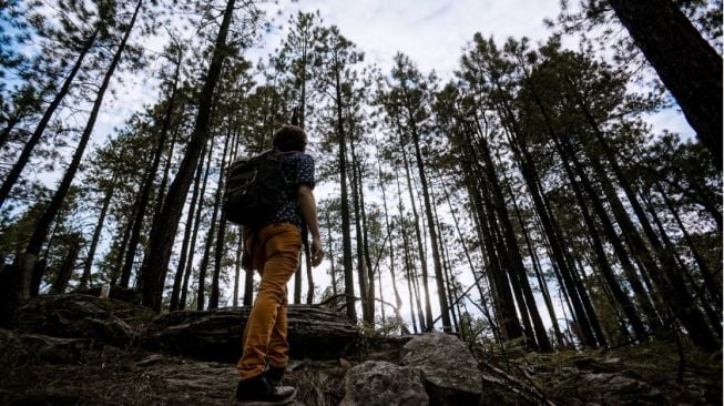 Rekonstruksi Übermensch dalam Ekologi Transenden
