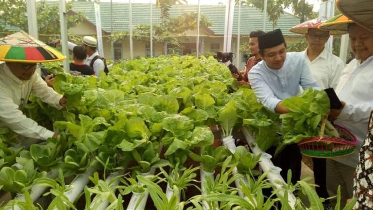 Tentang Dua Paradigma Kemandirian Ekonomi NU