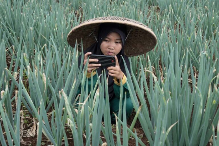 Siapa Pemilik Masa Depan Pertanian?