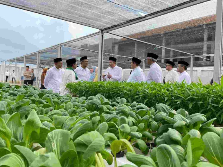 Pesantren sebagai Agen Perubahan dalam Ekosistem Ekonomi Sirkular