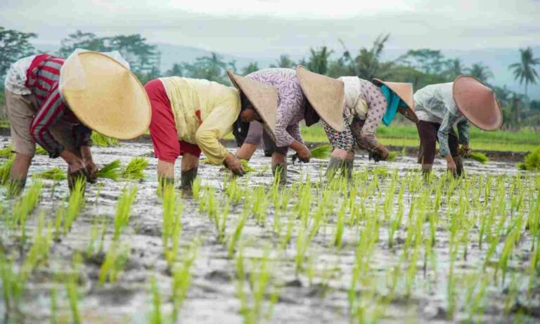 NU di Pusaran Kemiskinan dan Oligarki: Jamaah, Tradisi, dan Kemiskinan Struktural