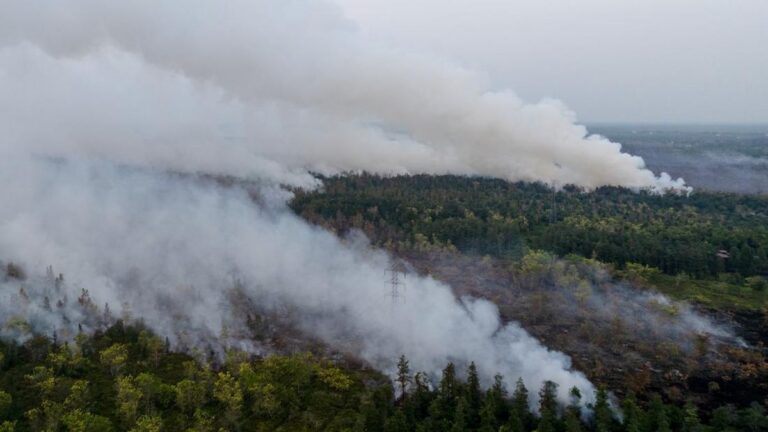 Prahara Hutan Kalimantan dan Ekosida Kebudayaan Dayak