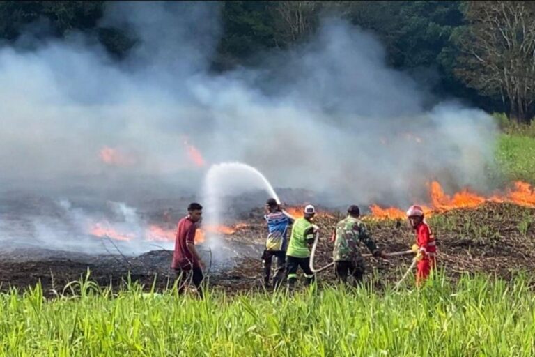 Luka Ekologi Dan Ekosistem Kebudayaan Kalimantan